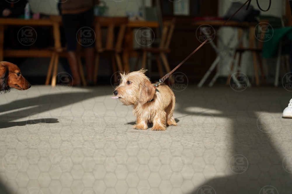 s_A9_09077.jpg